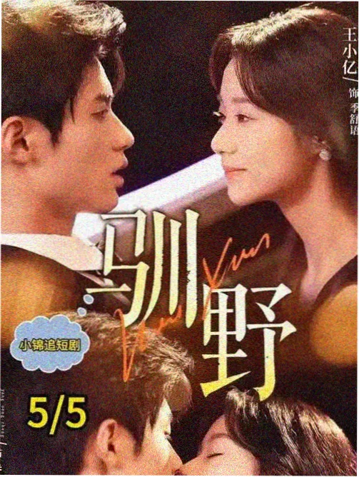 小型放映厅示意图，银幕与成排座椅